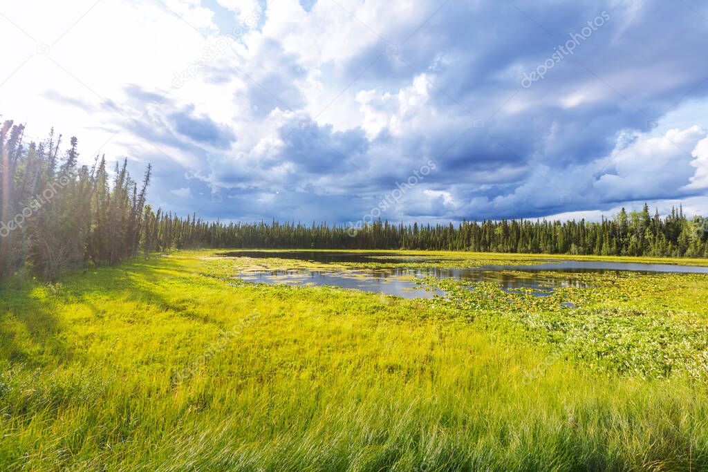 Serenity lake in Alaskan tundra.