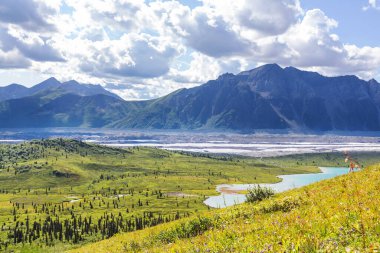 Yazın Alaska 'nın Picturesque Dağları. Kar, kütleleri, buzulları ve kayalık tepeleri kapladı. Güzel doğal arkaplan.