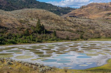 British Columbia, Kanada 'da Benekli Göl