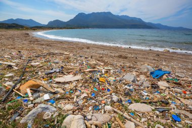 Ekolojik kavram. Plaj kirliliği - deniz sahilinde çöp