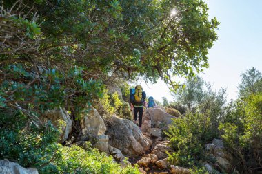 Yaz dağlarında gezginler
