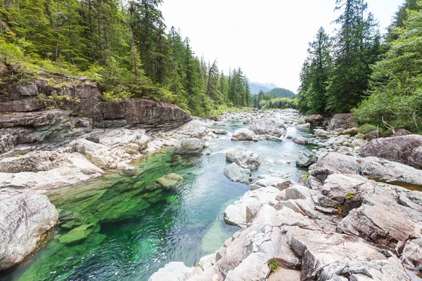 Tiszta Hegyi Folyó Kanyonban — Stock Fotó