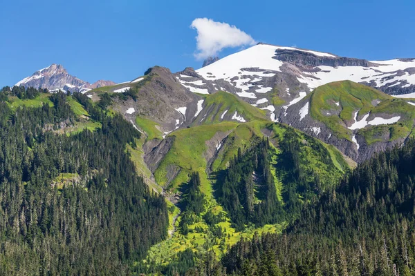 Pittoreska Bergslandskap Regnig Dag Sommaren Bra För Naturlig Bakgrund — Stockfoto