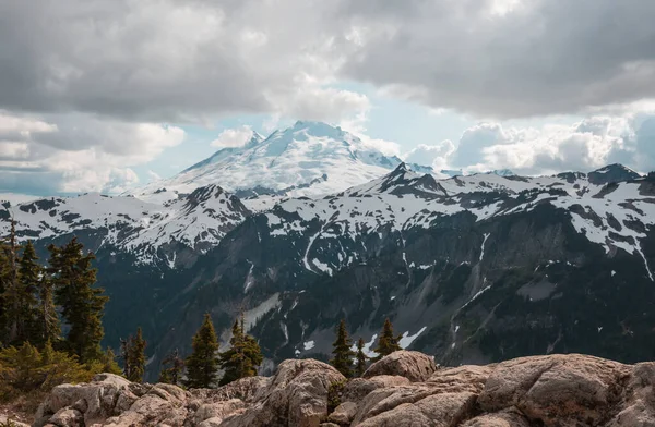 Parque Nacional Monte Rainier Washington —  Fotos de Stock