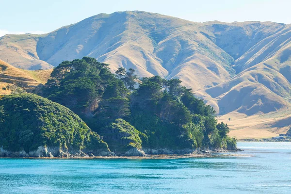 Smukke Landskaber Det Ocean Beach New Zealand Inspirerende Natur Rejsebaggrund - Stock-foto