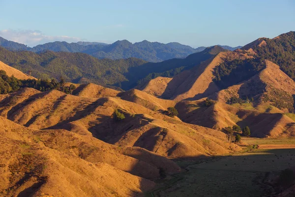 Hermoso Paisaje Rural Nueva Zelanda Amanecer —  Fotos de Stock