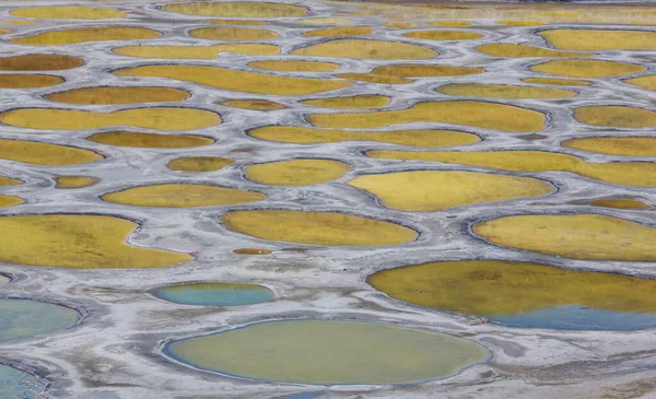 Spotted Lake British Columbia Canada — Stock Photo, Image