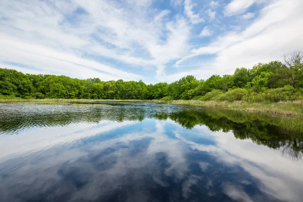 Grön Sommarsjö Fjällen — Stockfoto