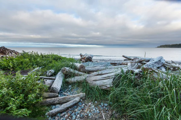 Spiaggia Dell Oceano Nell Isola Vancouver Columbia Britannica Canada — Foto Stock