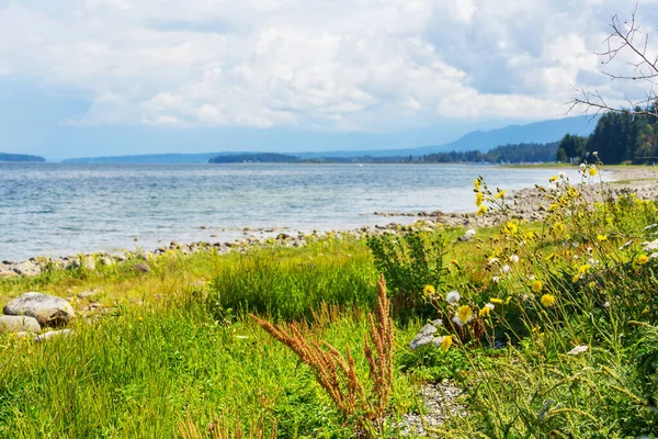 Vancouver Adası Ndaki Okyanus Plajı British Columbia Kanada — Stok fotoğraf