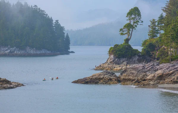 Isola Vancouver Columbia Britannica Canada — Foto Stock