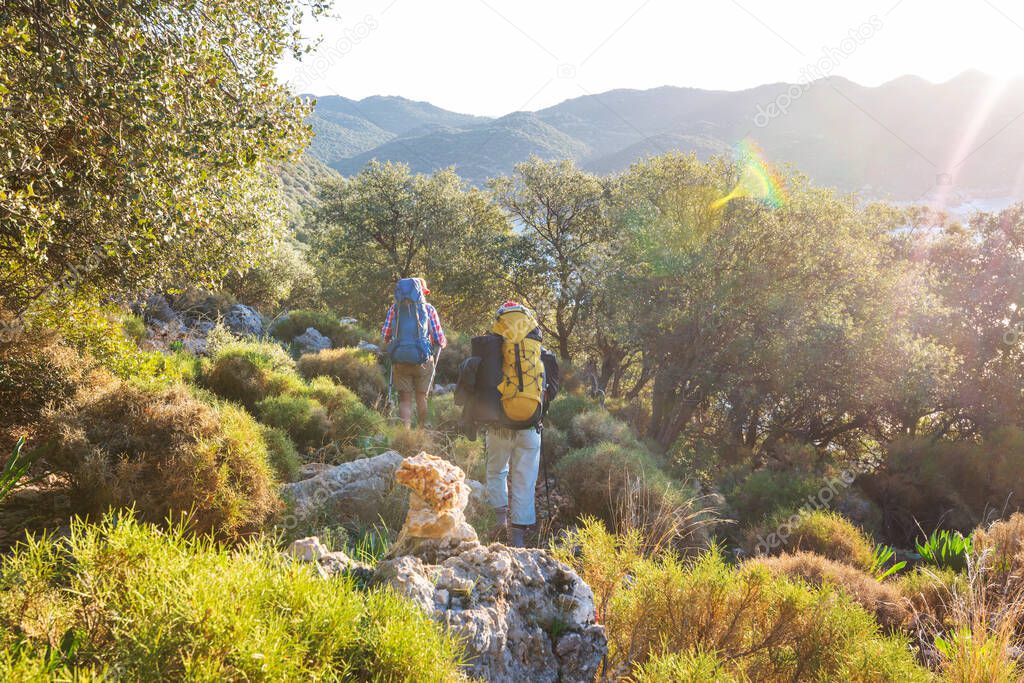 Group of backpackers hiking in mountains outdoor active lifestyle travel adventure vacations journey  freedom Summer landscape Hike concept