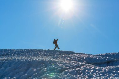Alaska dağlarındaki buzulda yürüyüş.