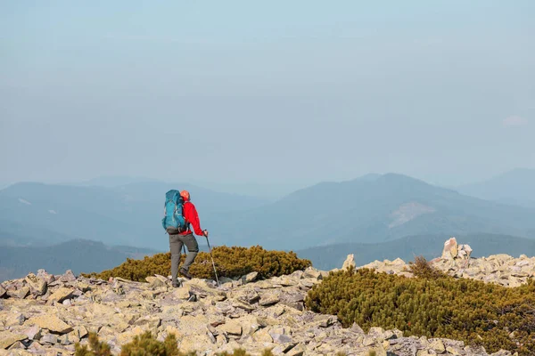 Yüksek dağlarda yürüyüş yapan bir gezgin.
