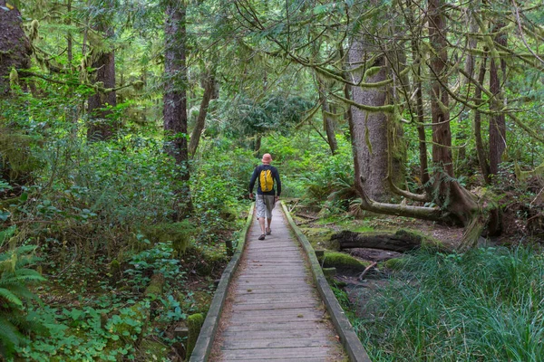 男は森の中のトレイルをハイキングします 自然レジャーハイキング旅行屋外 — ストック写真