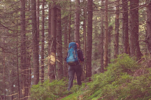 Человек Поход Залив Тропу Forest Nature Отдых Поход Открытым Небом — стоковое фото