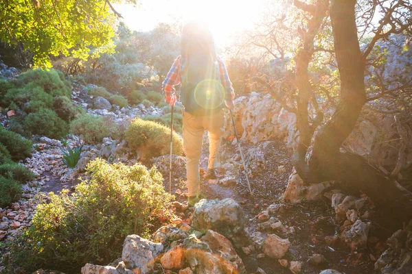 Homem Uma Caminhada Nas Montanhas Verão Lindas Paisagens Naturais — Fotografia de Stock