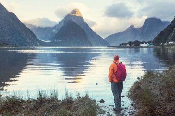 Úžasné Přírodní Scenérie Milford Sound Fiordland National Park Nový Zéland — Stock fotografie