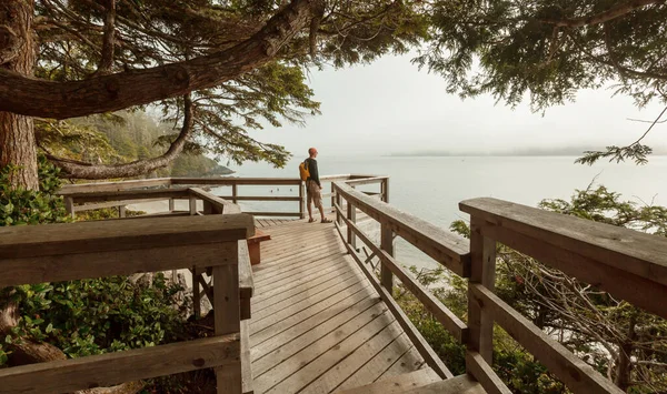 Passerella Sull Isola Vancouver Columbia Britannica Canada — Foto Stock