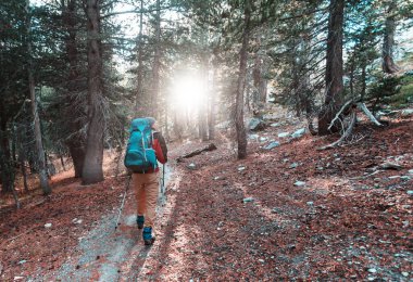 Ormandaki patikada yürüyüş yapan bir adam. Doğa yürüyüşü açık havada.