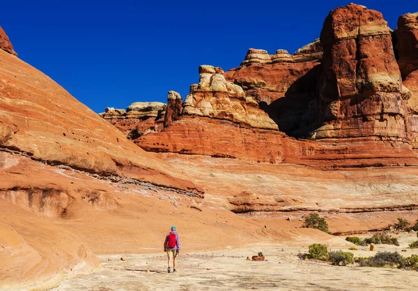 Hike Utah Mountains Hiking Unusual Natural Landscapes Fantastic Forms Sandstone — Stock Photo, Image