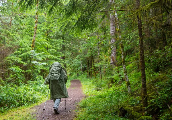 Man Escursioni Baia Sentiero Nella Foresta Natura Escursioni Piacere Viaggio — Foto Stock