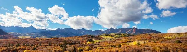 Automne Jaune Coloré Dans Colorado États Unis Saison Automne — Photo