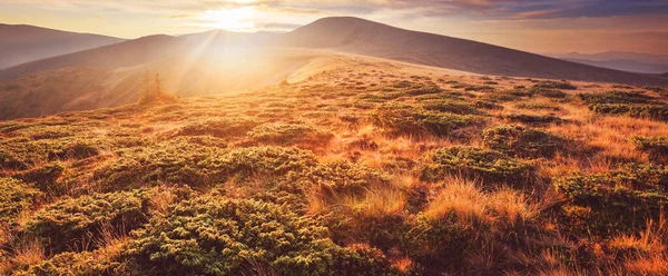 Prachtige Natuurlijke Landschappen Karpaten — Stockfoto