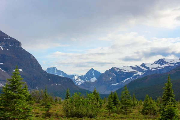 Yaz Mevsiminde Kanada Kayalıkları Nda Resim Gibi Dağ Manzarası — Stok fotoğraf