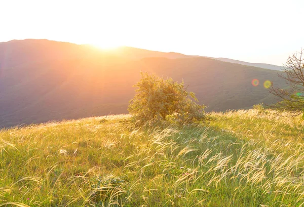 Berg Äng Solig Dag Naturligt Sommarlandskap — Stockfoto