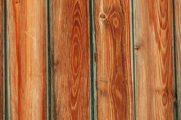 Fondo Textura Madera Marrón Corteza Araucaria — Foto de Stock