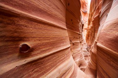 Utah, ABD 'deki Grand Staircase Escalante Ulusal Parkı' ndaki Slot Kanyonu. Utah çöllerinde alışılmadık renkli kumtaşı oluşumları yürüyüşçüler için popülerdir..