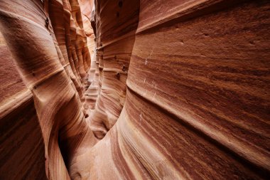Utah, ABD 'deki Grand Staircase Escalante Ulusal Parkı' ndaki Slot Kanyonu. Utah çöllerinde alışılmadık renkli kumtaşı oluşumları yürüyüşçüler için popülerdir..