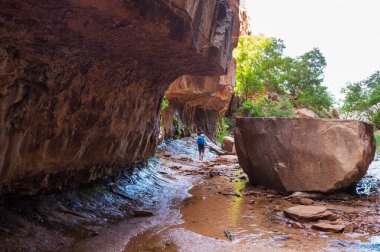 Yaz dağlarında slot kanyonunda yürüyüş yapan bir adam. Utah, ABD