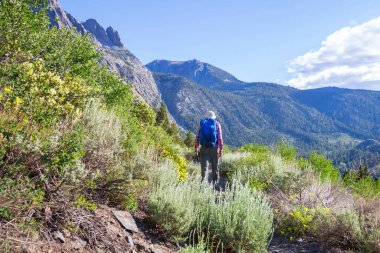 Yüksek dağlarda yürüyüş yapan bir gezgin.