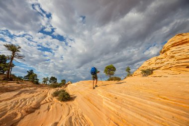 Utah dağlarında yürüyüş. Alışılmadık doğal manzaralarda yürüyüş. Fantastik kumtaşı oluşumları.