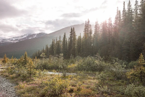 Vista Pitoresca Montanha Nas Montanhas Rochosas Canadenses Temporada Verão — Fotografia de Stock