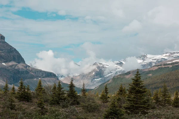 Γραφική Θέα Στο Βουνό Στο Canadian Rockies Κατά Θερινή Περίοδο — Φωτογραφία Αρχείου