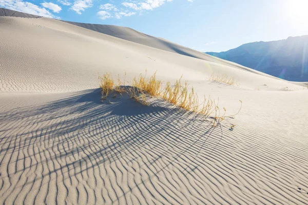 Dunas Areia Cênicas Deserto Fundo Natural — Fotografia de Stock