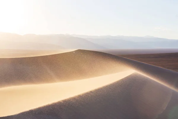 Szcenikus Homokdűnék Sivatagban Természetes Háttér — Stock Fotó