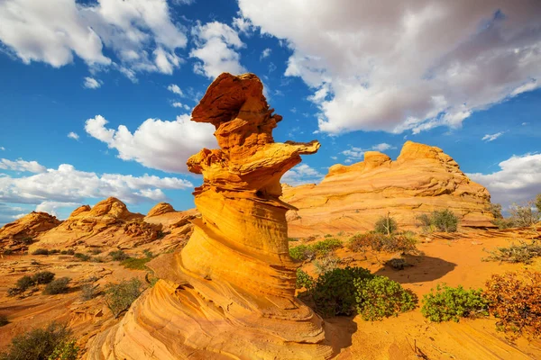 Coyote Buttes Della Vermillion Cliffs Wilderness Area Utah Arizona — Foto Stock