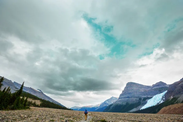 Escursionista Sulle Montagne Canadesi Hike Attività Ricreativa Popolare Nord America — Foto Stock