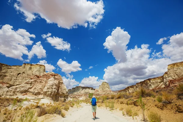 Vandra Utah Bergen Vandring Ovanliga Naturlandskap Fantastiska Former Sandsten Formationer — Stockfoto