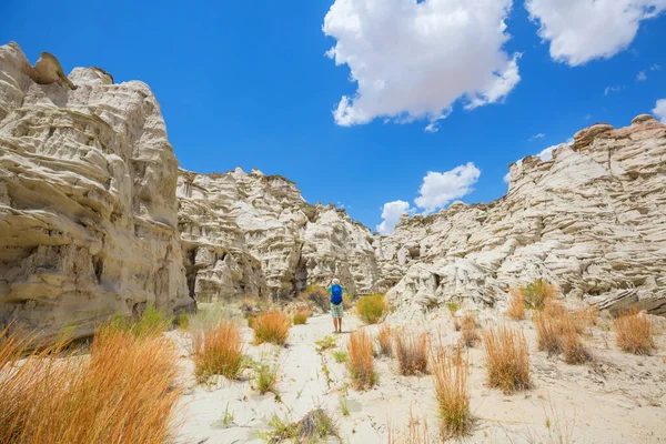 Wanderung Den Bergen Von Utah Wandern Ungewöhnlichen Naturlandschaften Fantastische Formen — Stockfoto