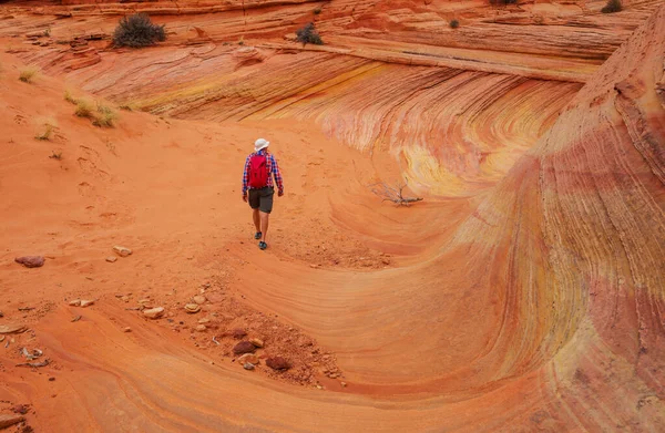 Vandra Utah Bergen Vandring Ovanliga Naturlandskap Fantastiska Former Sandsten Formationer — Stockfoto