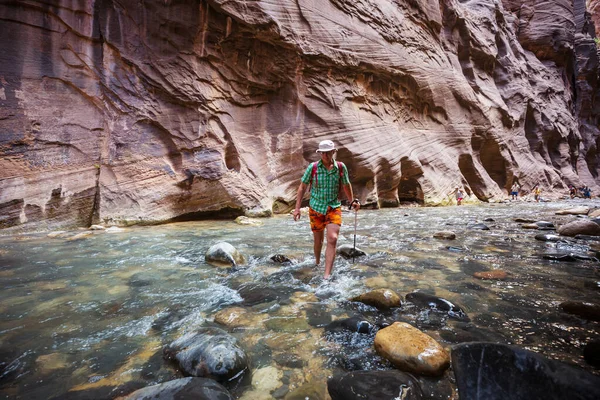 Zion Ulusal Parkı Nda Yürüyüş Utah Zion Ulusal Parkı Nda — Stok fotoğraf