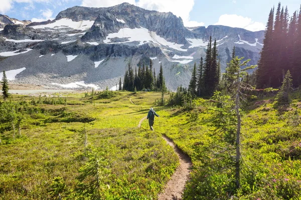 Backpackers Letnich Górach — Zdjęcie stockowe