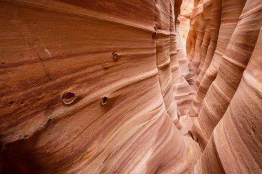 Utah, ABD 'deki Grand Staircase Escalante Ulusal Parkı' ndaki Slot Kanyonu. Utah çöllerinde alışılmadık renkli kumtaşı oluşumları yürüyüşçüler için popülerdir..