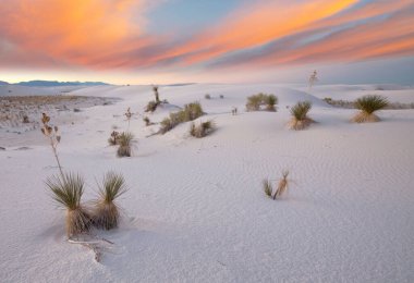 White Sands Ulusal Anıtı 'ndaki sıra dışı Beyaz Kum Tepeleri, New Mexico, ABD