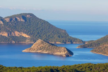 Kış mevsiminde karla kaplı orman manzarası. Noel arkaplanı için iyi.